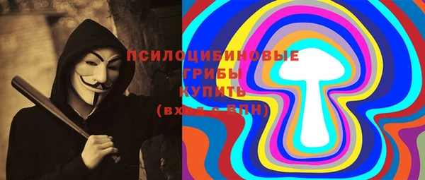 прущие грибы Мегион