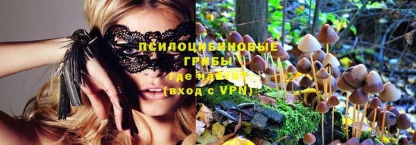 прущие грибы Мегион
