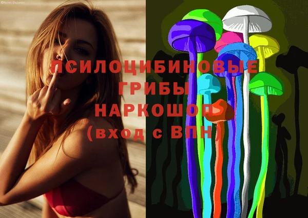 эйфоретик Медвежьегорск