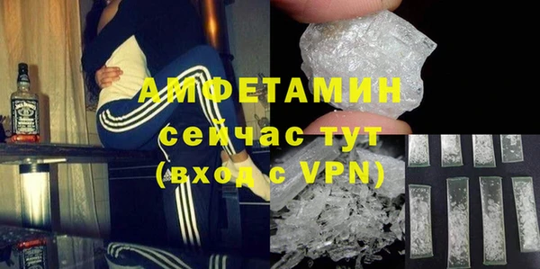 прущие грибы Мегион