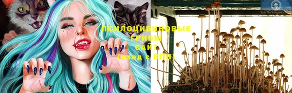 эйфоретик Медвежьегорск
