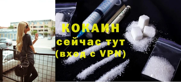 прущие грибы Мегион