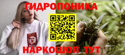 ПСИЛОЦИБИНОВЫЕ ГРИБЫ Волжский