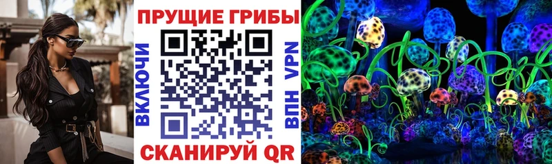 Псилоцибиновые грибы Psilocybine cubensis  это клад  Грозный 