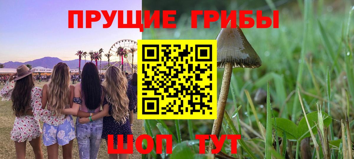 Псилоцибиновые грибы Psilocybine cubensis  Вход с VPN  Грозный 