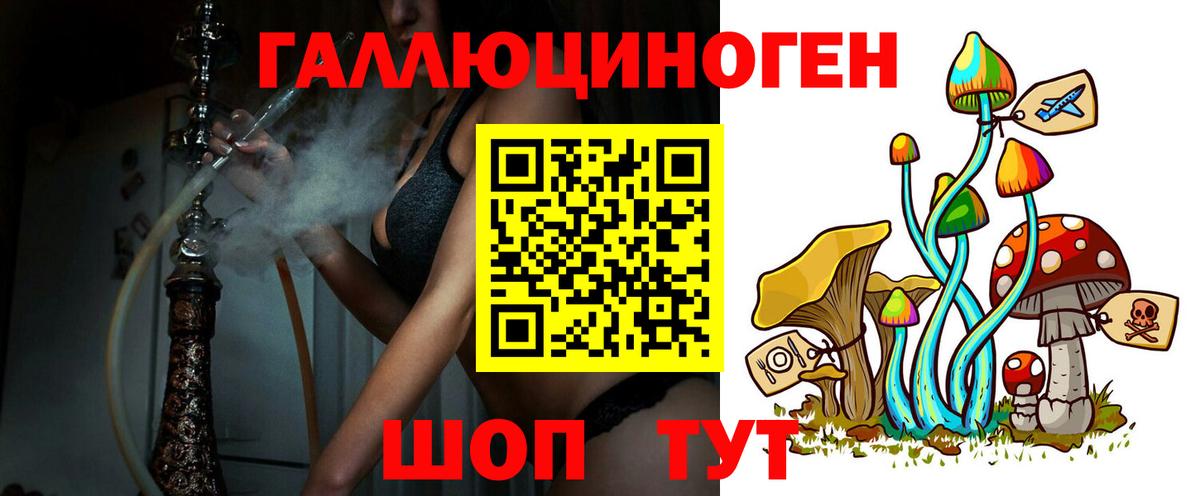 Псилоцибиновые грибы прущие грибы Грозный